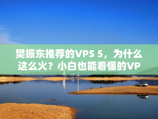 樊振东推荐的VPS 5，为什么这么火？小白也能看懂的VPS知识