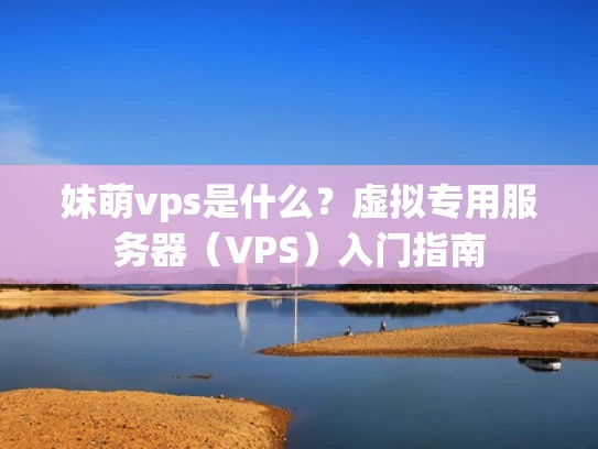妹萌vps是什么？虚拟专用服务器（VPS）入门指南