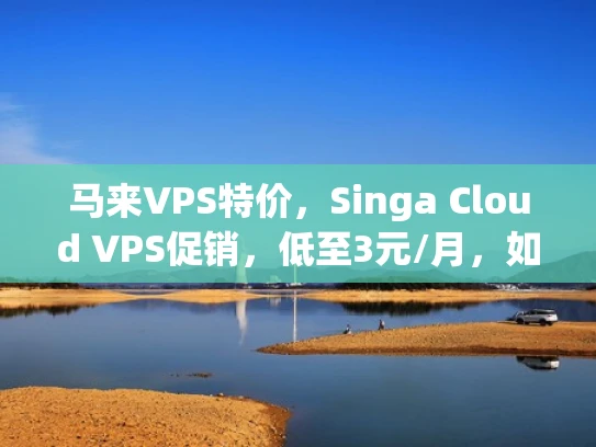 马来VPS特价，Singa Cloud VPS促销，低至3元/月，如何抓住这个机会？