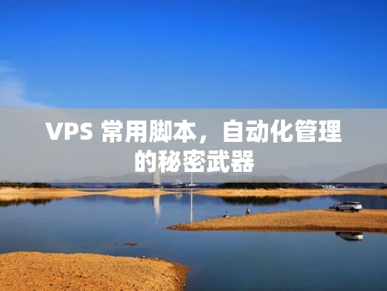 VPS 常用脚本，自动化管理的秘密武器