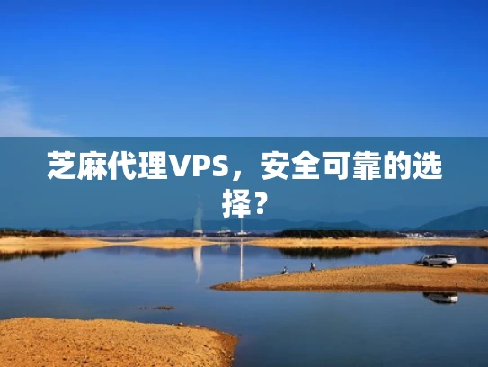芝麻代理VPS，安全可靠的选择？