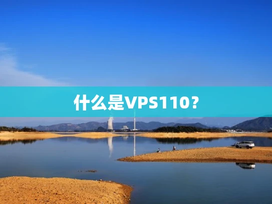什么是VPS110？