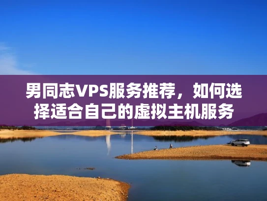 男同志VPS服务推荐，如何选择适合自己的虚拟主机服务