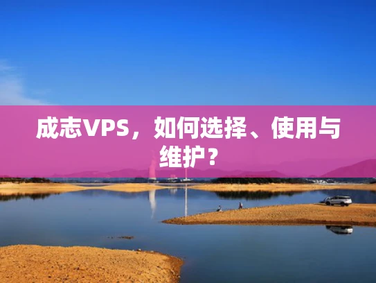 成志VPS，如何选择、使用与维护？
