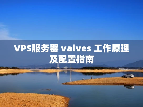 VPS服务器 valves 工作原理及配置指南