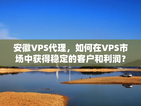 安徽VPS代理，如何在VPS市场中获得稳定的客户和利润？