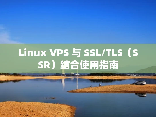 Linux VPS 与 SSL/TLS（SSR）结合使用指南