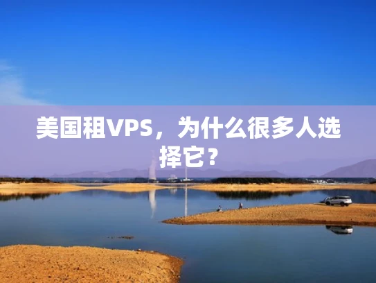 美国租VPS，为什么很多人选择它？