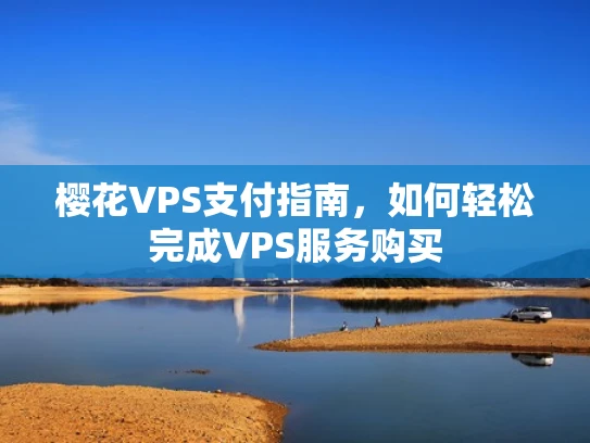 樱花VPS支付指南，如何轻松完成VPS服务购买