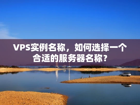 VPS实例名称，如何选择一个合适的服务器名称？