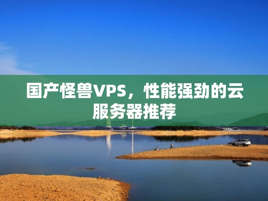 国产怪兽VPS，性能强劲的云服务器推荐