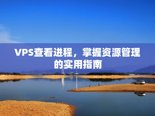 VPS查看进程，掌握资源管理的实用指南