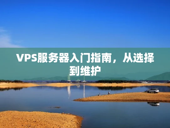 VPS服务器入门指南，从选择到维护