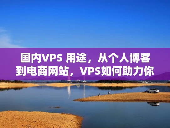 国内VPS 用途，从个人博客到电商网站，VPS如何助力你的业务
