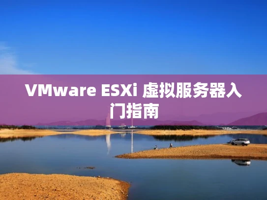 VMware ESXi 虚拟服务器入门指南