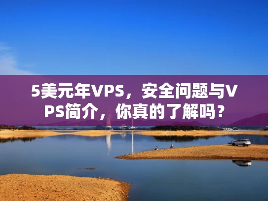 5美元年VPS，安全问题与VPS简介，你真的了解吗？