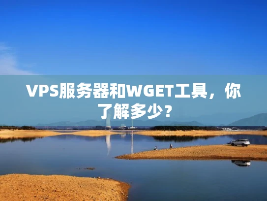 VPS服务器和WGET工具，你了解多少？