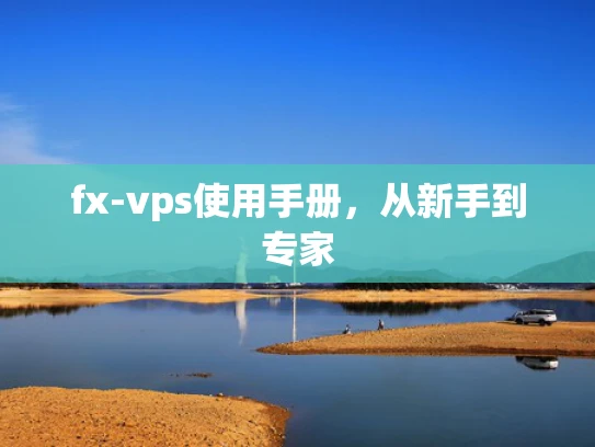 fx-vps使用手册，从新手到专家