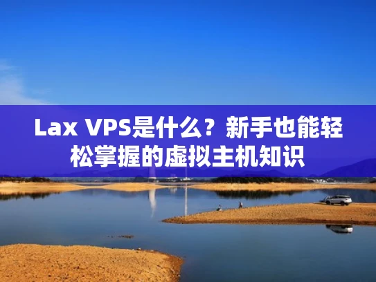 Lax VPS是什么？新手也能轻松掌握的虚拟主机知识
