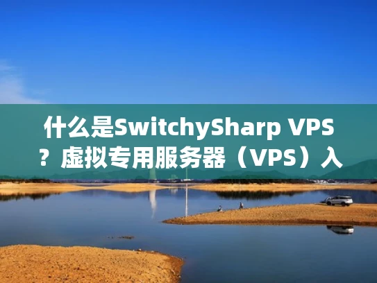 什么是SwitchySharp VPS？虚拟专用服务器（VPS）入门指南