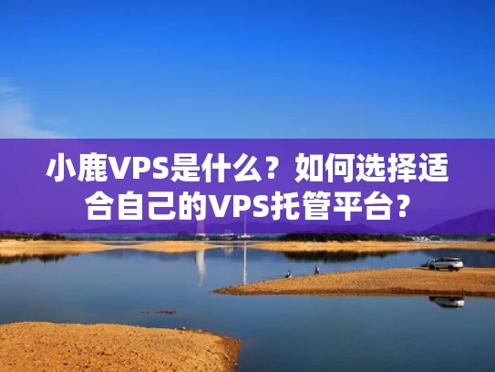 小鹿VPS是什么？如何选择适合自己的VPS托管平台？