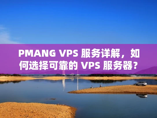 PMANG VPS 服务详解，如何选择可靠的 VPS 服务器？