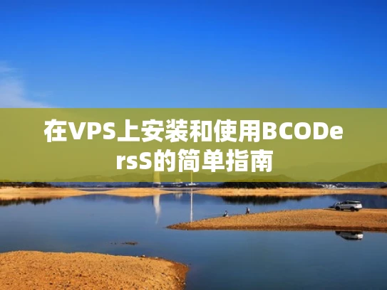 在VPS上安装和使用BCODersS的简单指南