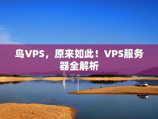 鸟VPS，原来如此！VPS服务器全解析