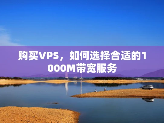 购买VPS，如何选择合适的1000M带宽服务