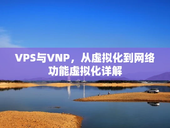 VPS与VNP，从虚拟化到网络功能虚拟化详解