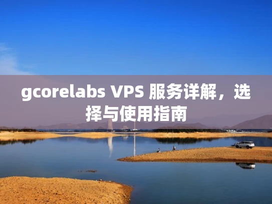 gcorelabs VPS 服务详解，选择与使用指南