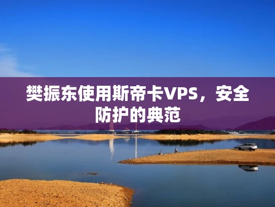 樊振东使用斯帝卡VPS，安全防护的典范