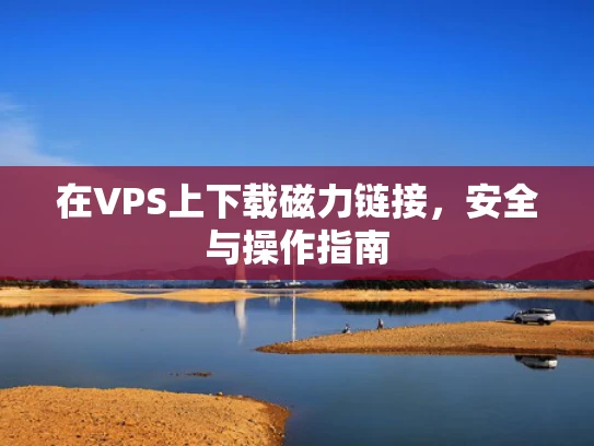 在VPS上下载磁力链接，安全与操作指南