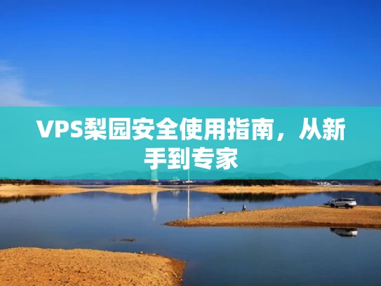 VPS梨园安全使用指南，从新手到专家