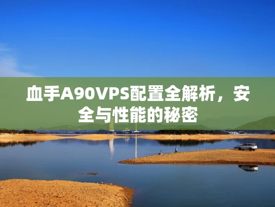 血手A90VPS配置全解析，安全与性能的秘密