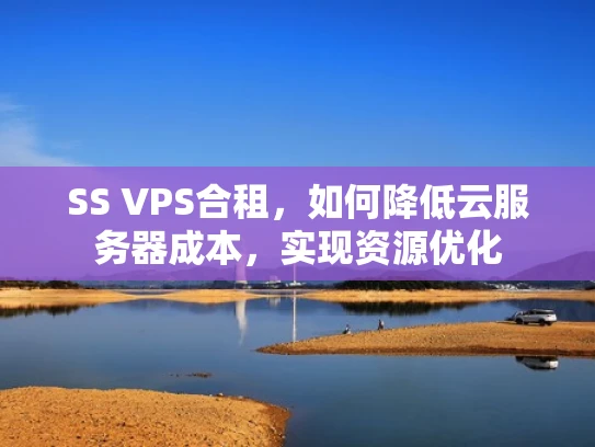 SS VPS合租，如何降低云服务器成本，实现资源优化