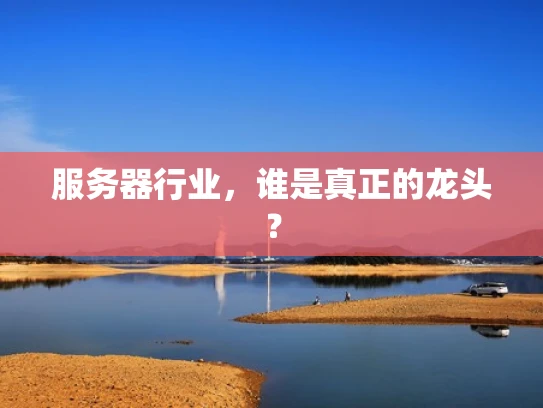 服务器行业，谁是真正的龙头？