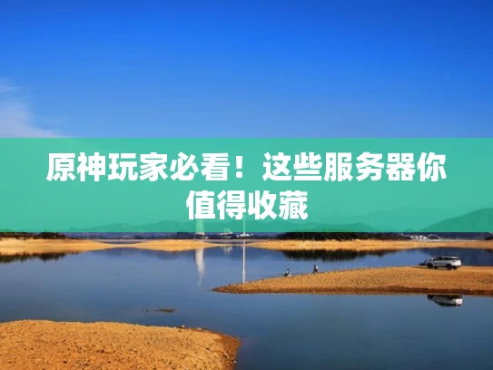 原神玩家必看！这些服务器你值得收藏