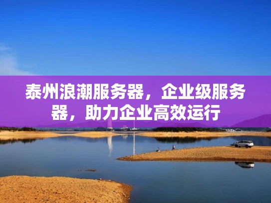 泰州浪潮服务器，企业级服务器，助力企业高效运行