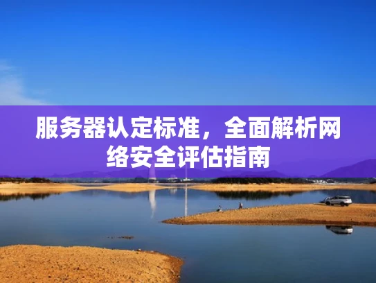 服务器认定标准，全面解析网络安全评估指南