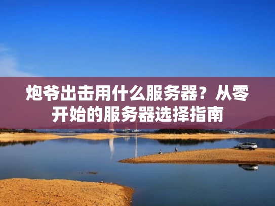 炮爷出击用什么服务器？从零开始的服务器选择指南