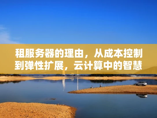 租服务器的理由，从成本控制到弹性扩展，云计算中的智慧选择