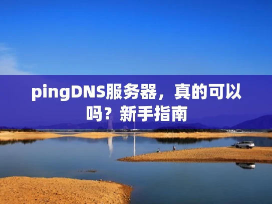 pingDNS服务器，真的可以吗？新手指南