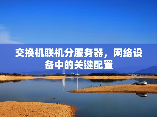 交换机联机分服务器，网络设备中的关键配置