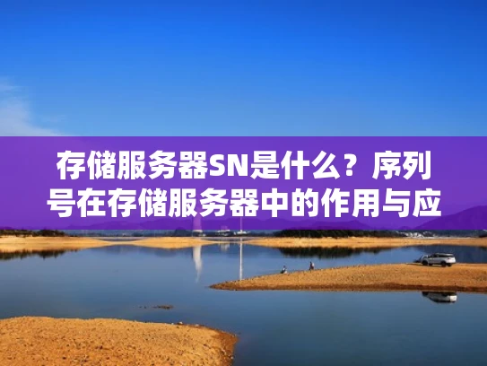 存储服务器SN是什么？序列号在存储服务器中的作用与应用