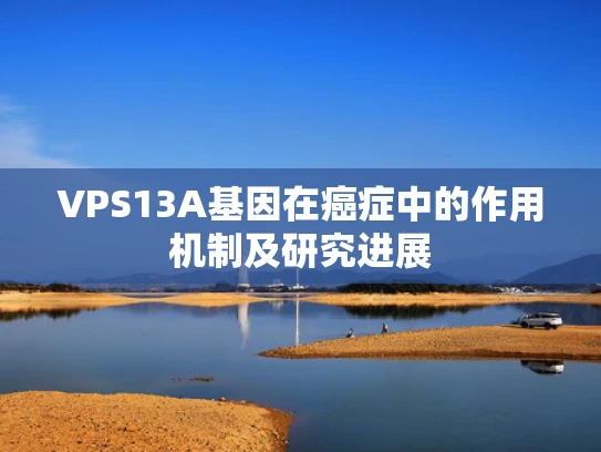VPS13A基因在癌症中的作用机制及研究进展