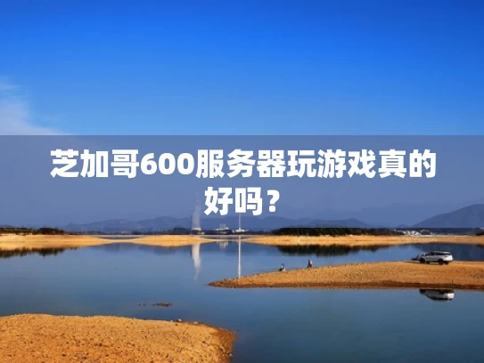 芝加哥600服务器玩游戏真的好吗？
