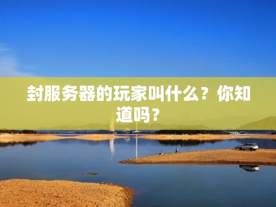 封服务器的玩家叫什么？你知道吗？