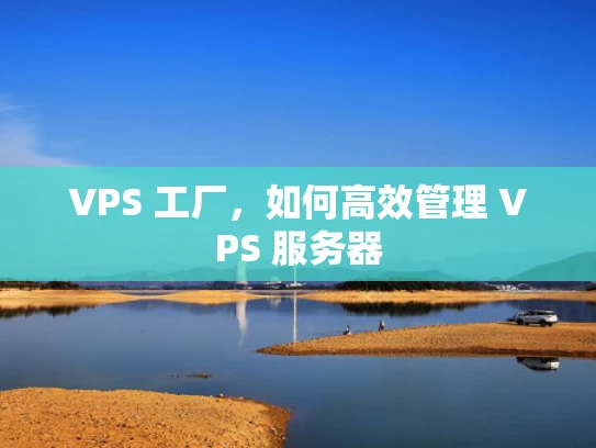 VPS 工厂，如何高效管理 VPS 服务器