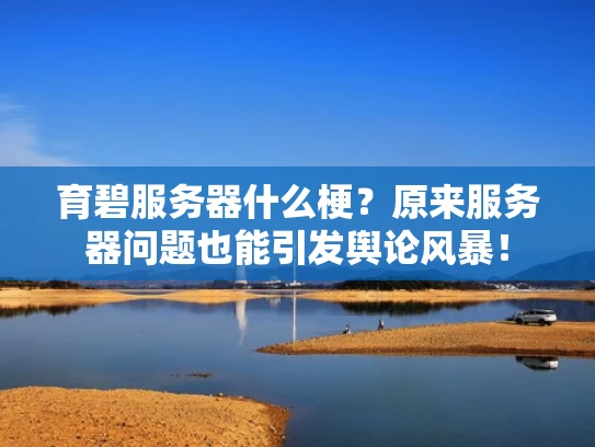 育碧服务器什么梗？原来服务器问题也能引发舆论风暴！